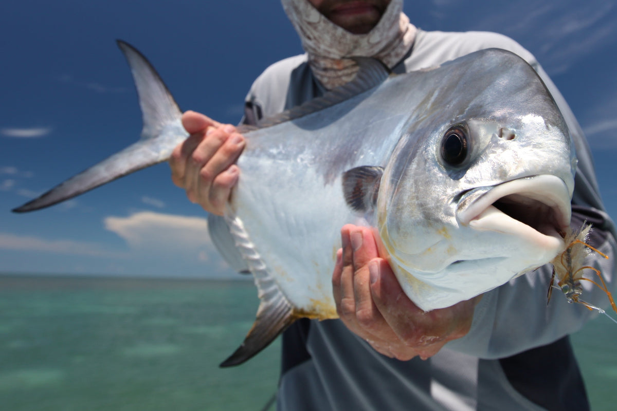 Flies for Permit