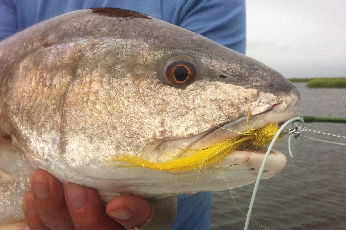 Flies for Redfish