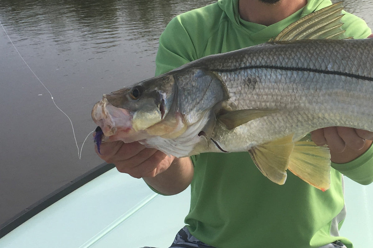 Flies for Snook