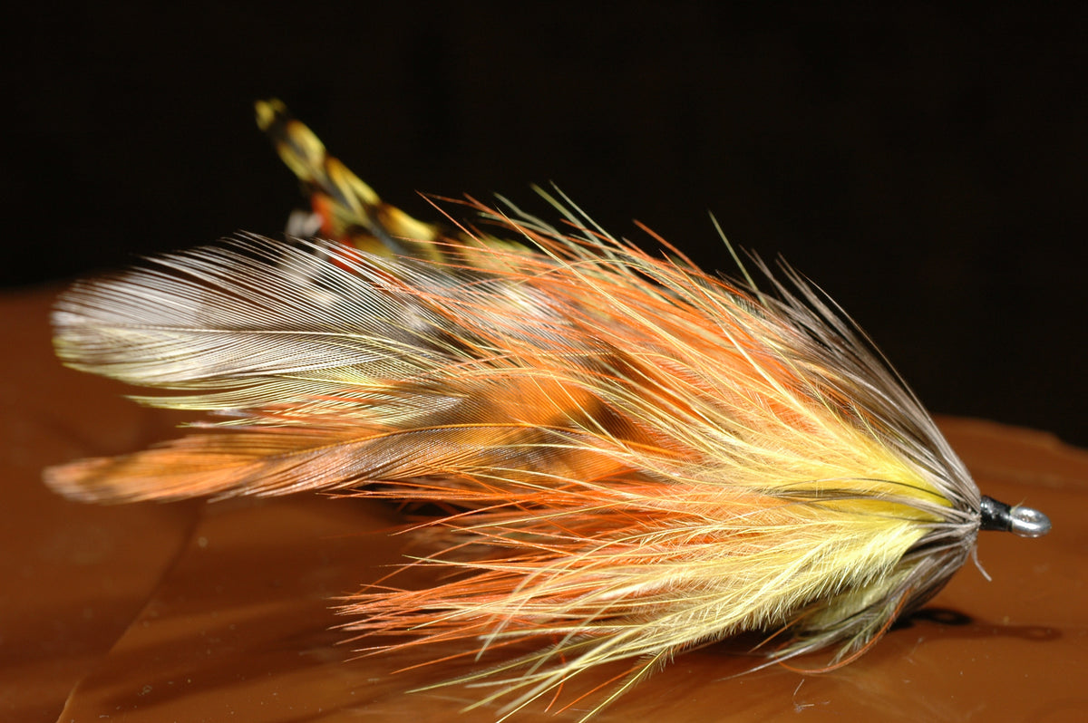 Grizz Bug, 2/0