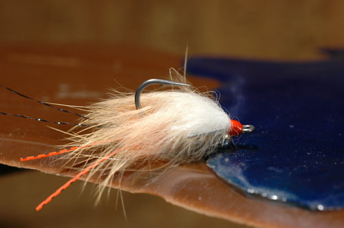 Avalon Fly, #4