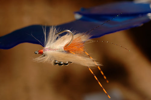 Avalon Fly, tan #2
