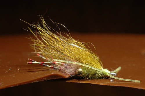 Bad Tail Squimp, olive #2