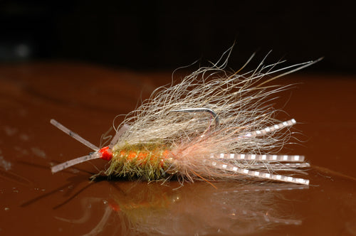 Bad Tail Squimp, tan #6