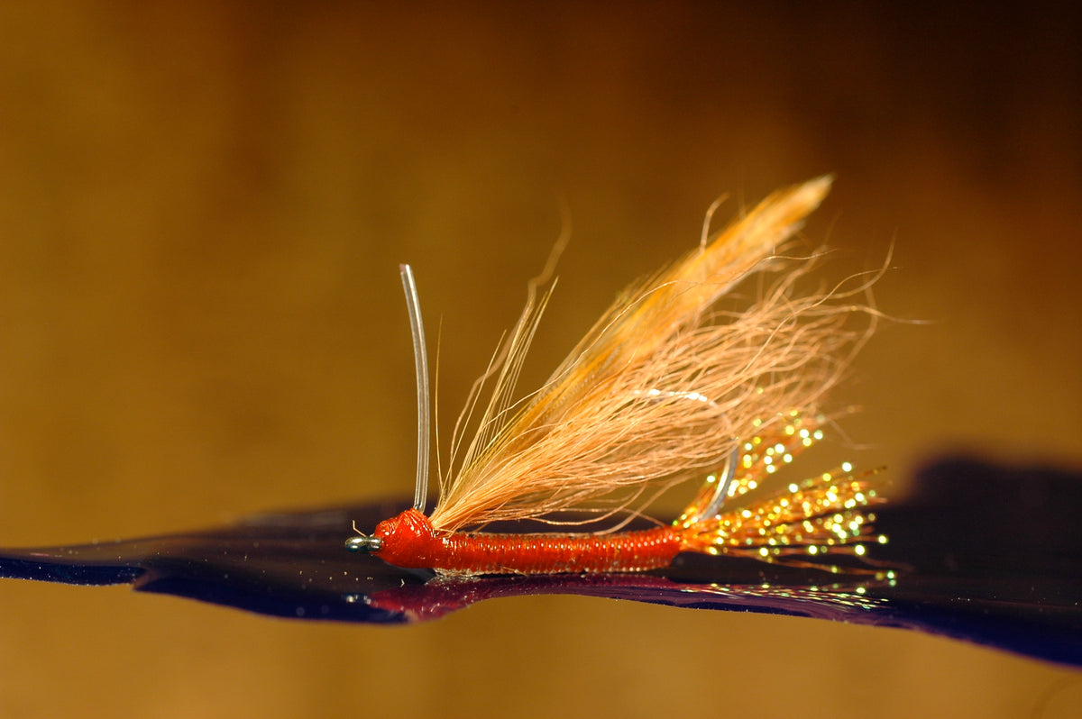 Blind Cree Charlie, peach #8