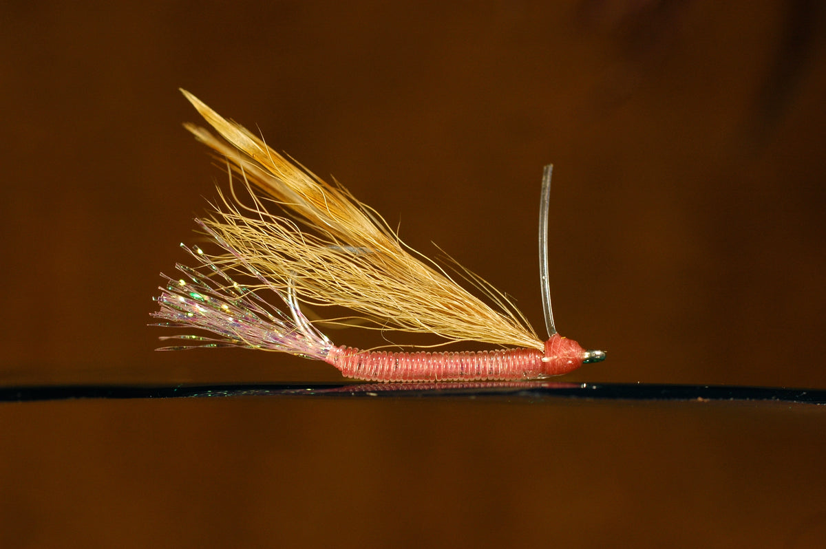 Blind Cree Charlie, tan #6
