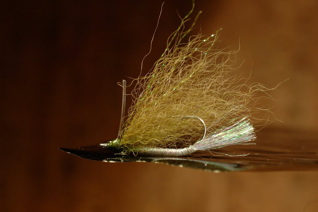 Foxy Gotcha, olive #8