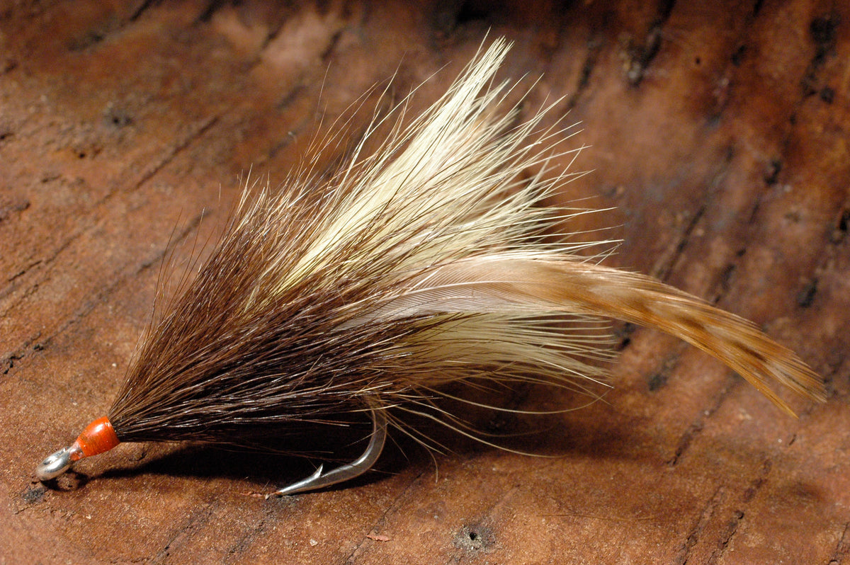 Cockroach, ginger 2/0