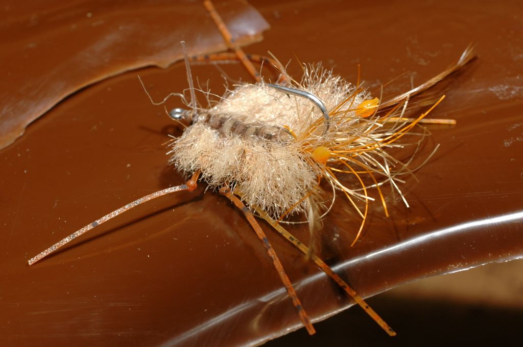 Flat Crab, tan #1