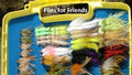 Flies for Friends Gift Card