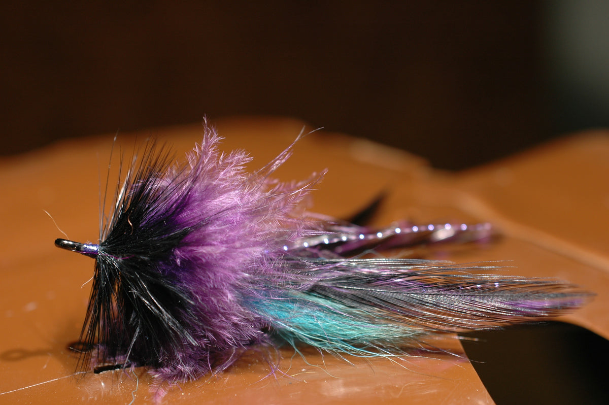 Laid-up Bug, black&purple 2/0