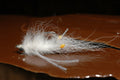 Mantis Shrimp, white #4
