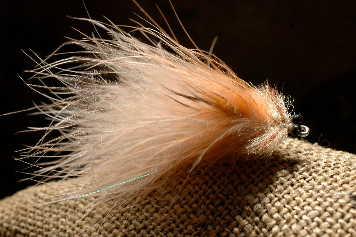 Marabou Toad