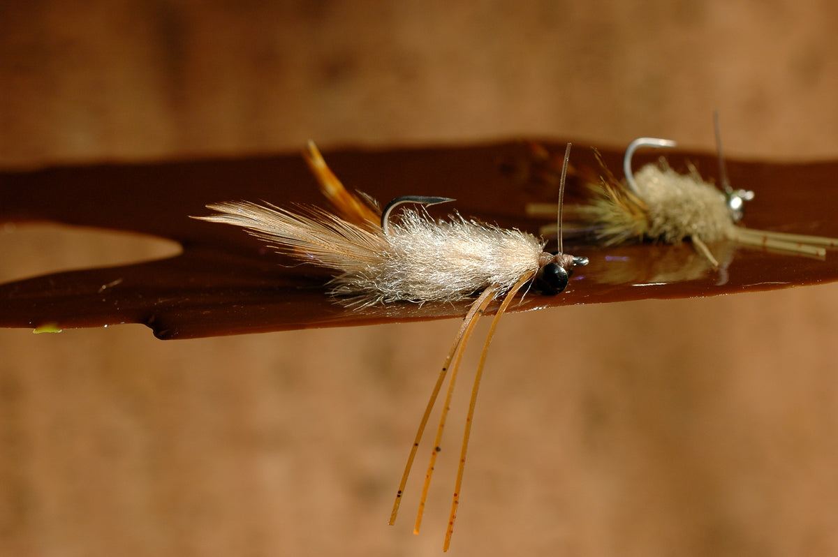 Permit Crab, tan #1