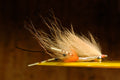 Spawning Shrimp, #4