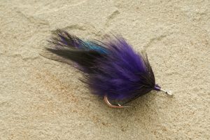 Laid-up Bug, black and purple