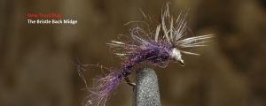 Trout Bug Black Bristle Midge Fly Fishing Lures and Flies