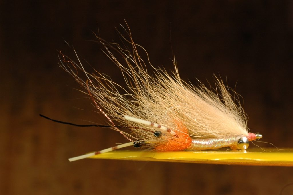 The Five Best Bonefish Flies – SSFlies