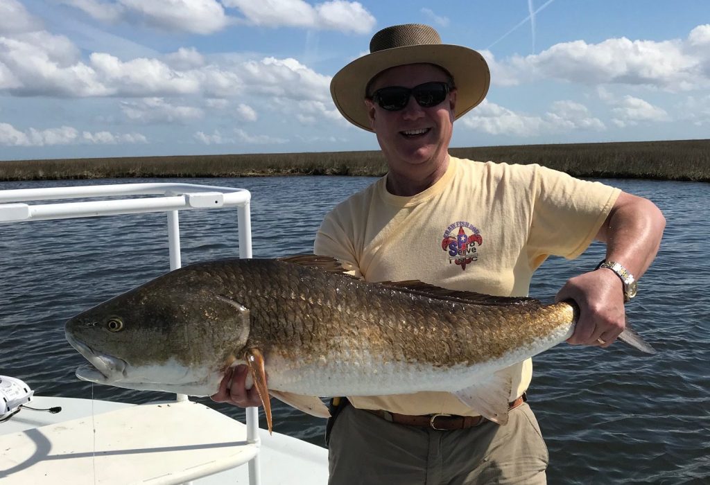 Louisiana bull redfish